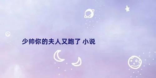 少帅你的夫人又跑了 小说